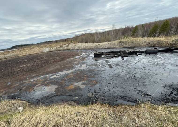 Экологи заявили о фиктивной рекультивации и призвали Александра Бастрыкина вмешаться